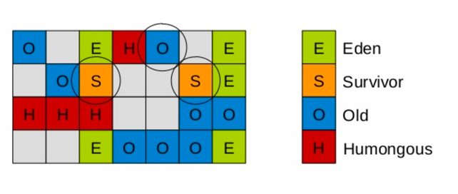 13